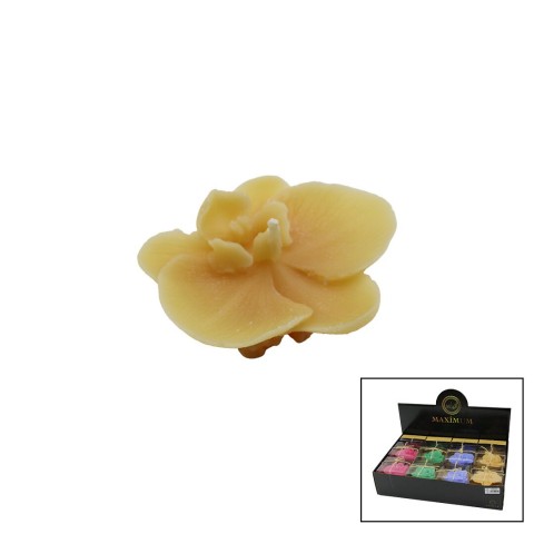 MAXİMUM MAX-2329 ( TEKLİ ) ( ORKİDE MODELİ ) ( RENKLİ & KOKULU ) MUM*20X1