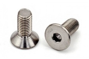 OT MOTORU VİDASI 4 MM*50X
