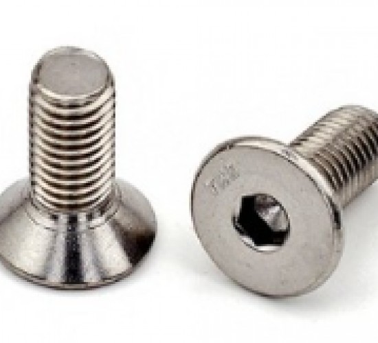 OT MOTORU VİDASI 4 MM*50X