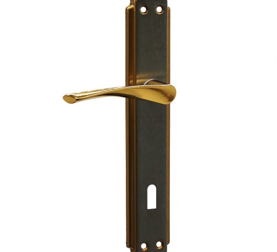 ERİŞ-01 BRAVO ( ODA ) ( SARI ALBRİFİN ) KAPI KOLU TAKIM*2X30