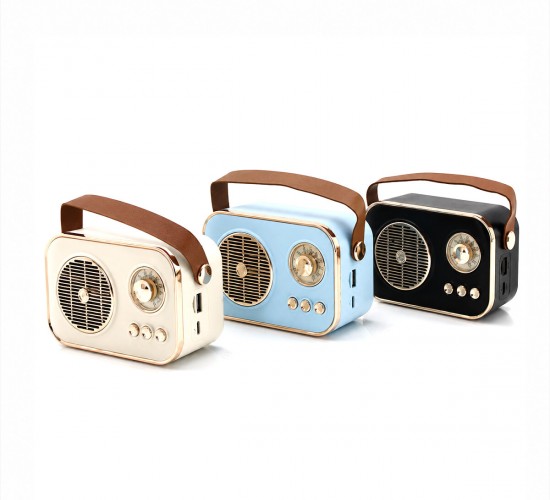 PLATOON PL-4641 (WİRELESS) HOPARLÖR & SPEAKER (IŞIKLI) (USB ŞARJLI) (RENKLİ KASA & BRONZ ÇERÇEVE)(USB & DC 5V & TF)*80