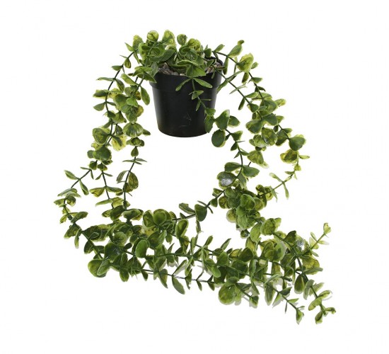 EVİDECOR ( SARKAN UZUN SARMAŞIK ) YAPAY ÇİÇEK ( PLASTİK SAKSI )*36=K
