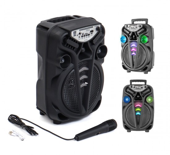 PLATOON PL-4681 AO-835-832 KARAOKE ( MİKROFONLU ) WİRELESS HOPARLÖR & SPEAKER ( IŞIKLI ) ( USB ŞARJLI ) ( DC 5V & TF & AUX ) ( 8