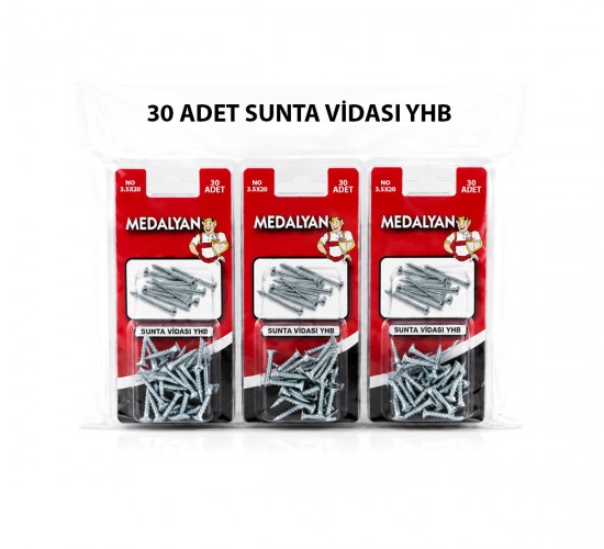 MEDALYAN DL-97 ( 3.5X20 ) ( 30PCS ) SUNTA VİDASI*12X12