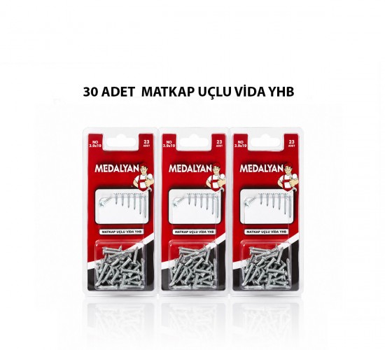 MEDALYAN DL-100 ( 3.9X19 ) ( 30PCS ) MATKAP UÇLU VİDA*12X12