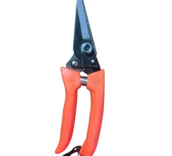 CEKATOP ( DAR AĞIZ ) ( METAL ) BAĞ MAKASI ( PLASTİK TURUNCU SAP ) ( BRKT-784696 )*12X
